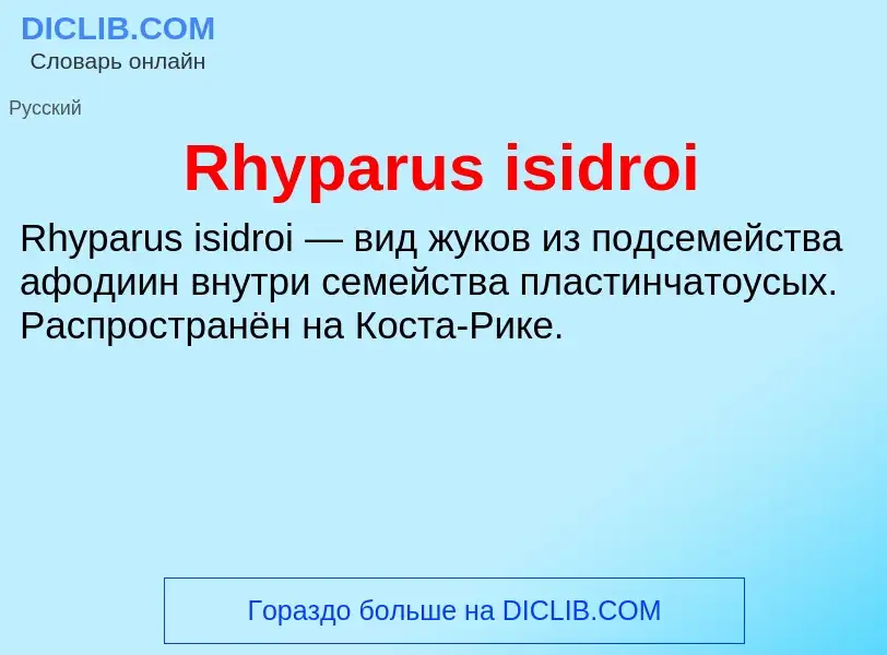 Что такое Rhyparus isidroi - определение