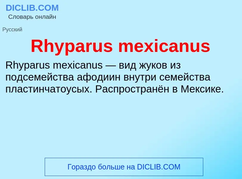 Что такое Rhyparus mexicanus - определение