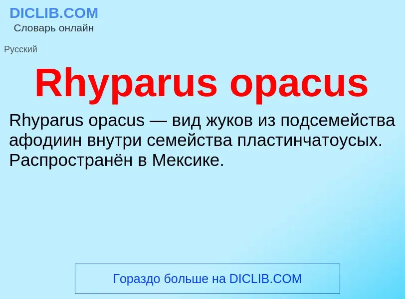 Что такое Rhyparus opacus - определение