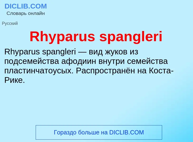 Что такое Rhyparus spangleri - определение