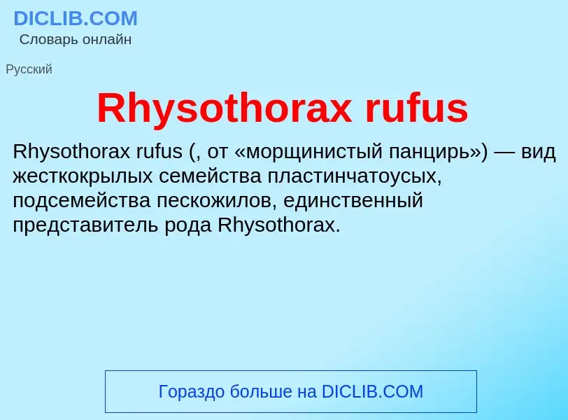 Что такое Rhysothorax rufus - определение