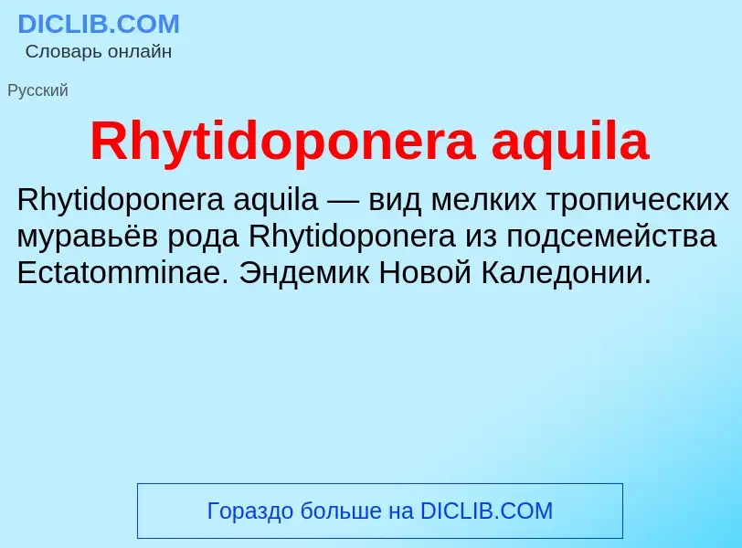 Что такое Rhytidoponera aquila - определение