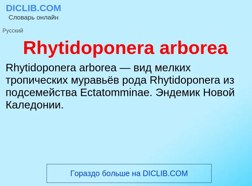 Что такое Rhytidoponera arborea - определение