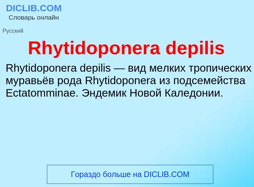 Что такое Rhytidoponera depilis - определение