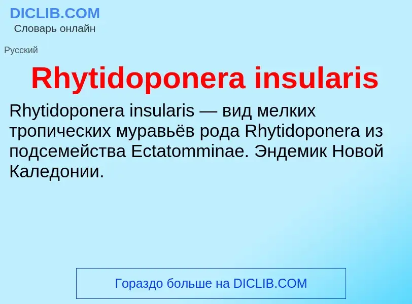 Что такое Rhytidoponera insularis - определение