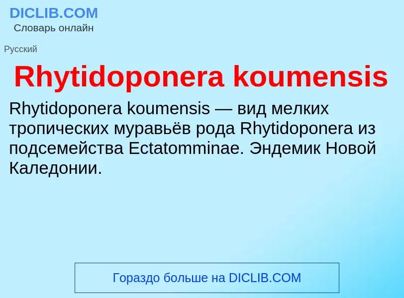 Что такое Rhytidoponera koumensis - определение