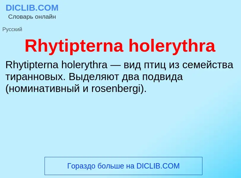 Что такое Rhytipterna holerythra - определение