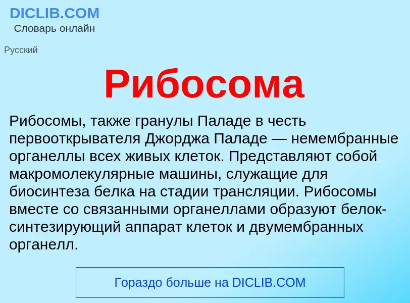 What is Рибосома - definition