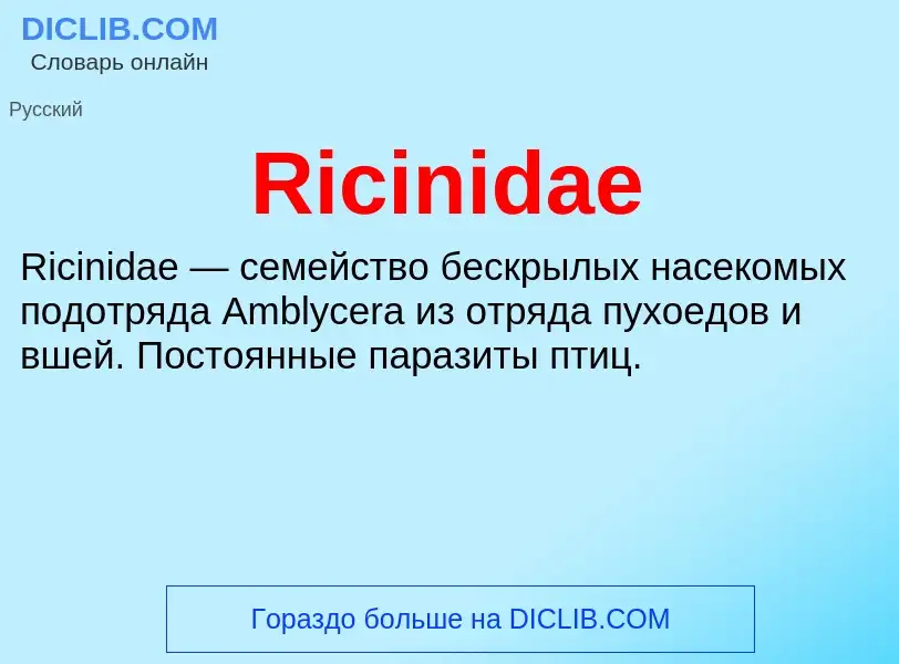 Что такое Ricinidae - определение