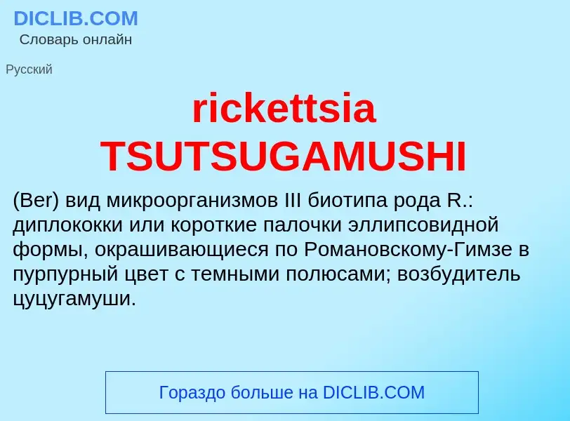 Что такое rickettsia TSUTSUGAMUSHI  - определение