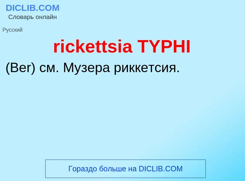 Что такое rickettsia TYPHI  - определение