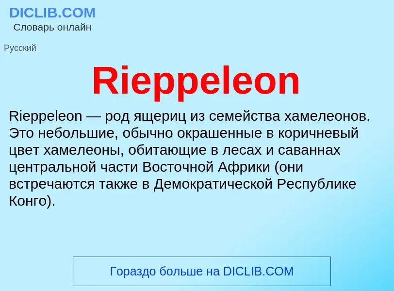 Что такое Rieppeleon - определение