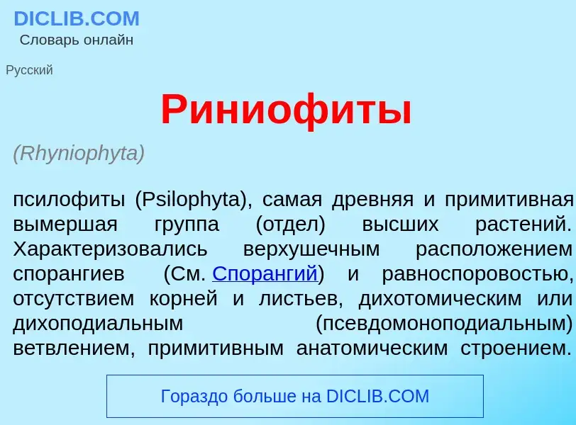 Che cos'è Риниоф<font color="red">и</font>ты - definizione