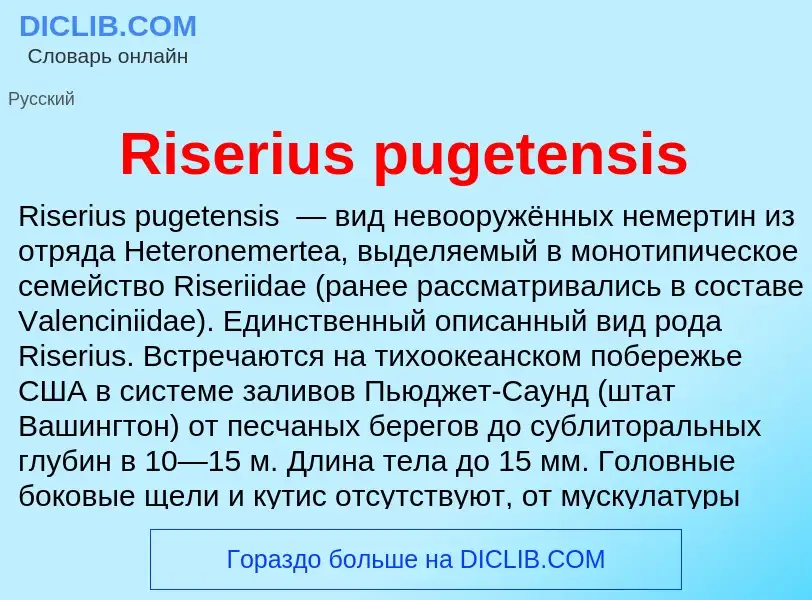 Что такое Riserius pugetensis - определение