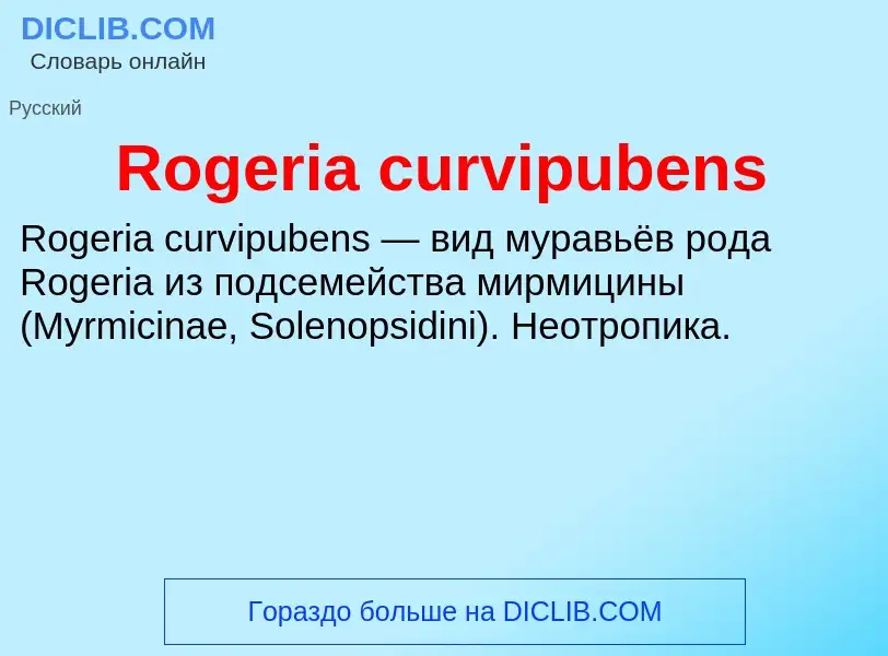 Τι είναι Rogeria curvipubens - ορισμός