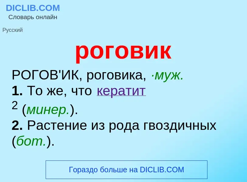 O que é роговик - definição, significado, conceito