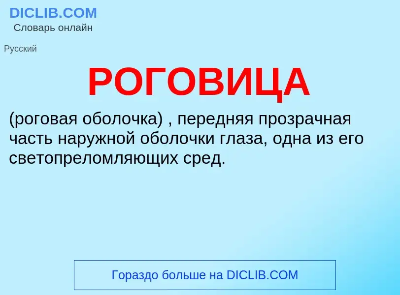 What is РОГОВИЦА - definition