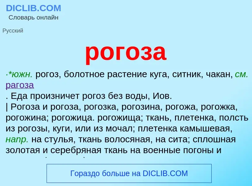 Was ist рогоза - Definition