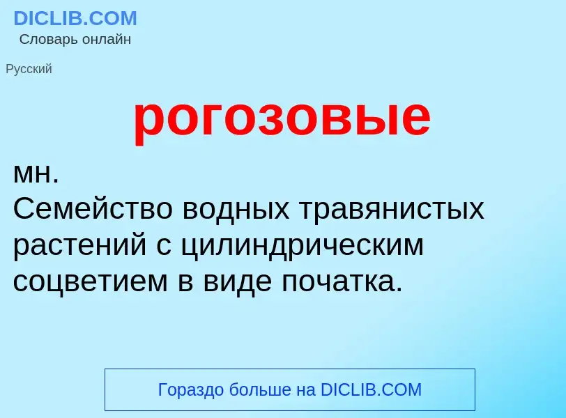 O que é рогозовые - definição, significado, conceito