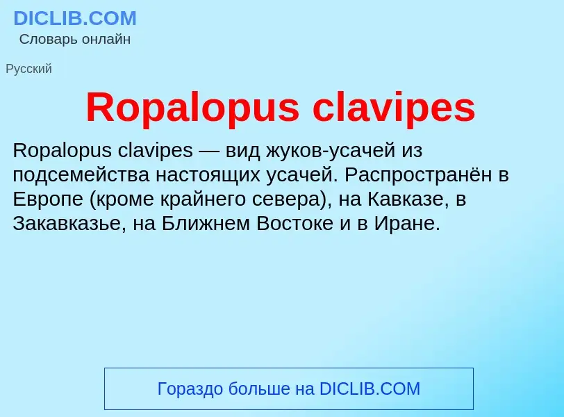 Что такое Ropalopus clavipes - определение