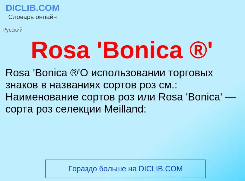 Что такое Rosa 'Bonica ®' - определение