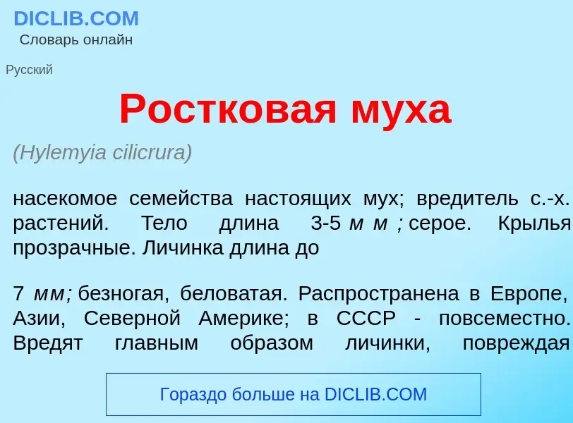 Что такое Ростк<font color="red">о</font>вая м<font color="red">у</font>ха - определение