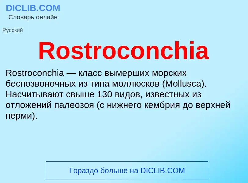 Что такое Rostroconchia - определение