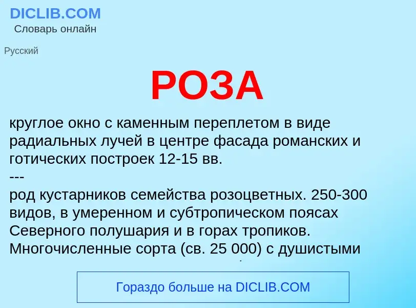 What is РОЗА - definition