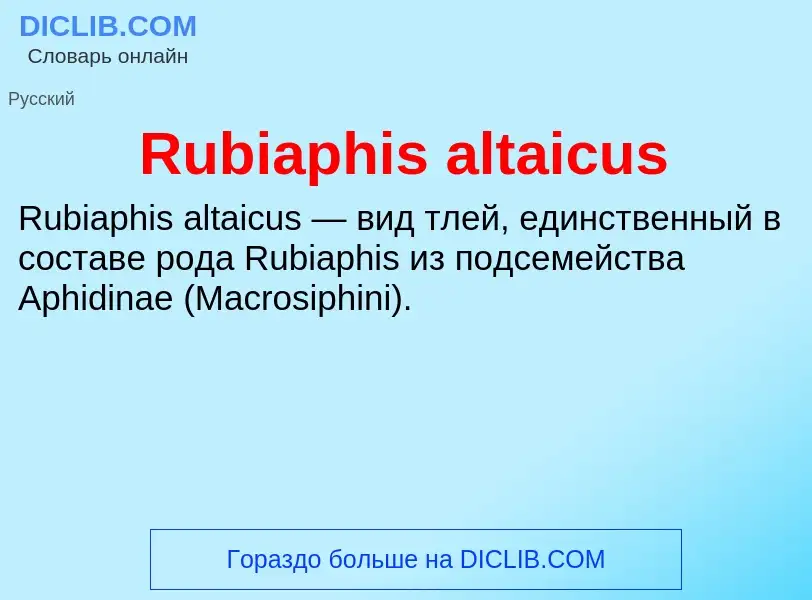 Τι είναι Rubiaphis altaicus - ορισμός