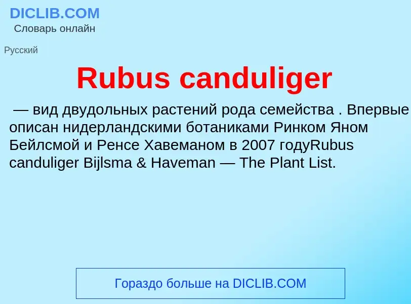 Τι είναι Rubus canduliger - ορισμός