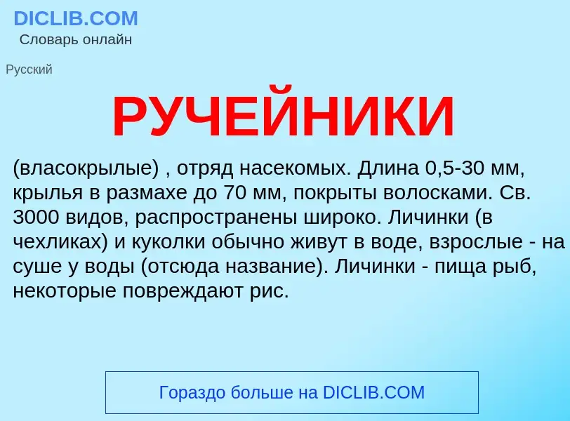 What is РУЧЕЙНИКИ - definition