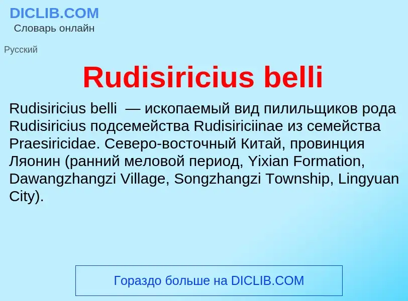 Was ist Rudisiricius belli - Definition