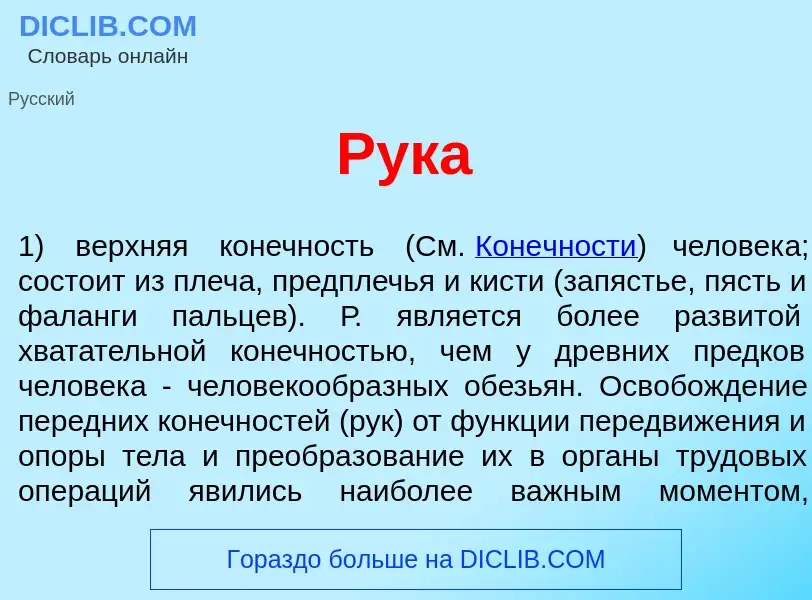 What is Рук<font color="red">а</font> - meaning and definition