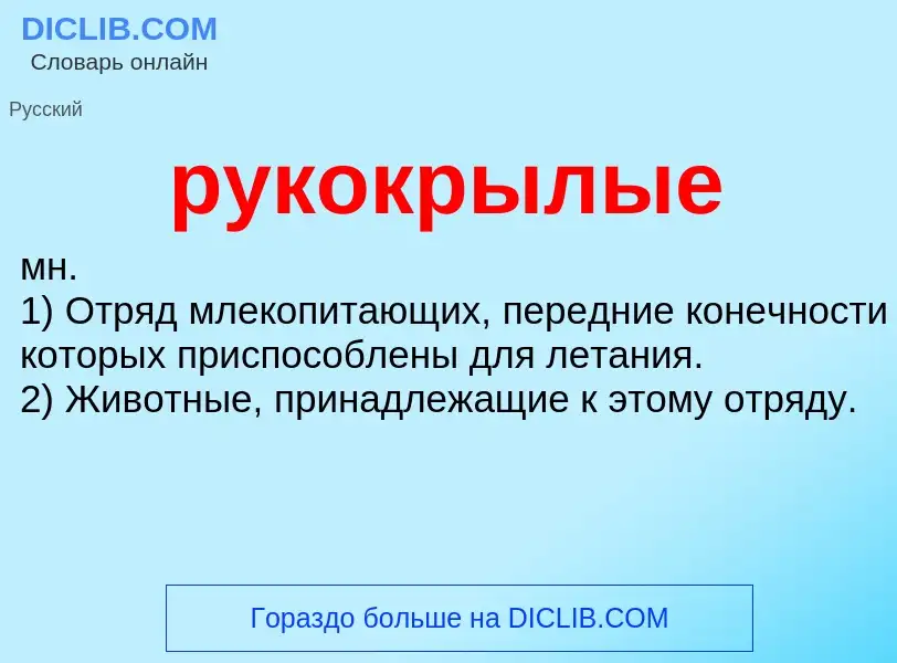 Was ist рукокрылые - Definition