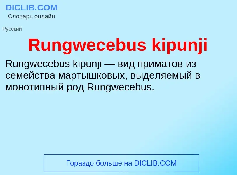 Τι είναι Rungwecebus kipunji - ορισμός