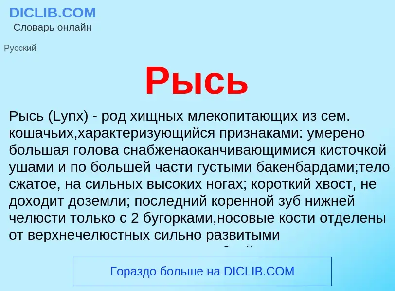 O que é Рысь - definição, significado, conceito