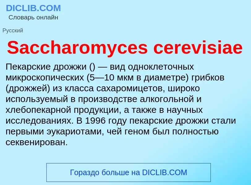 Что такое Saccharomyces cerevisiae - определение