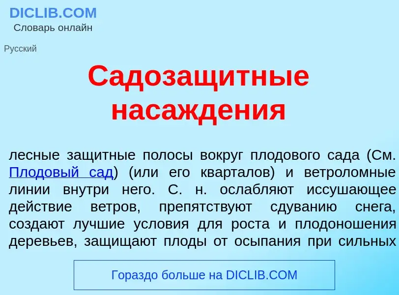 ¿Qué es Садозащ<font color="red">и</font>тные насажд<font color="red">е</font>ния? - significado y d