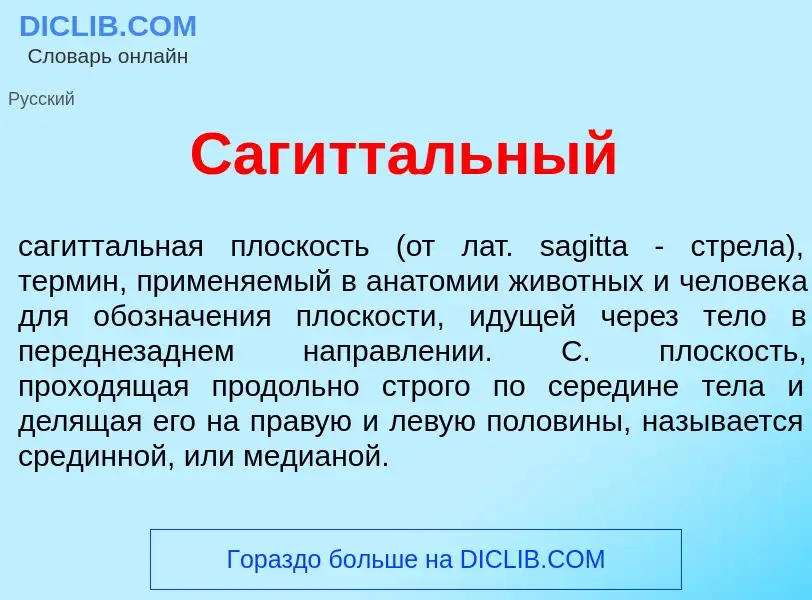 Che cos'è Сагитт<font color="red">а</font>льный - definizione