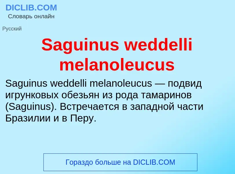 ¿Qué es Saguinus weddelli melanoleucus? - significado y definición