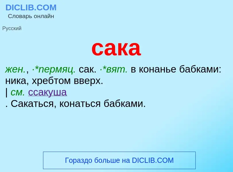 Что такое сака - определение