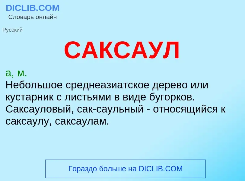 What is САКСАУЛ - meaning and definition