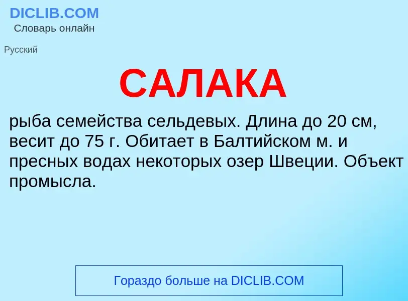 What is САЛАКА - meaning and definition