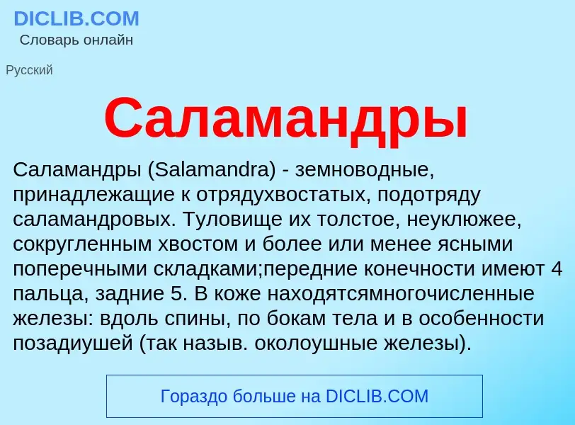 Wat is Саламандры - definition