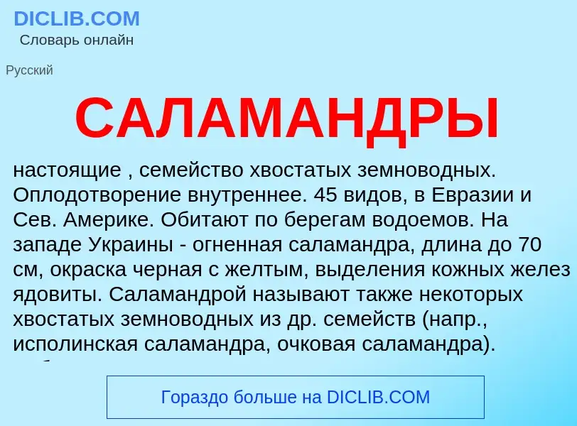 ¿Qué es САЛАМАНДРЫ? - significado y definición