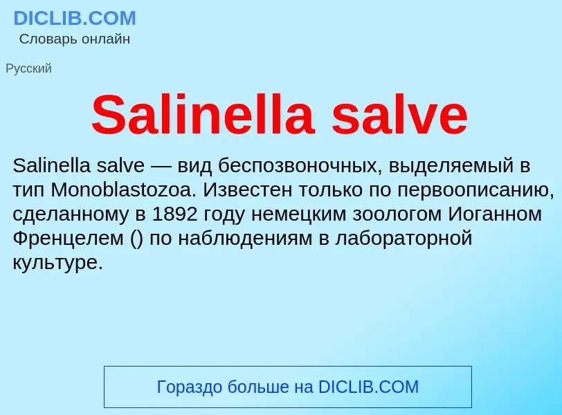 ¿Qué es Salinella salve? - significado y definición