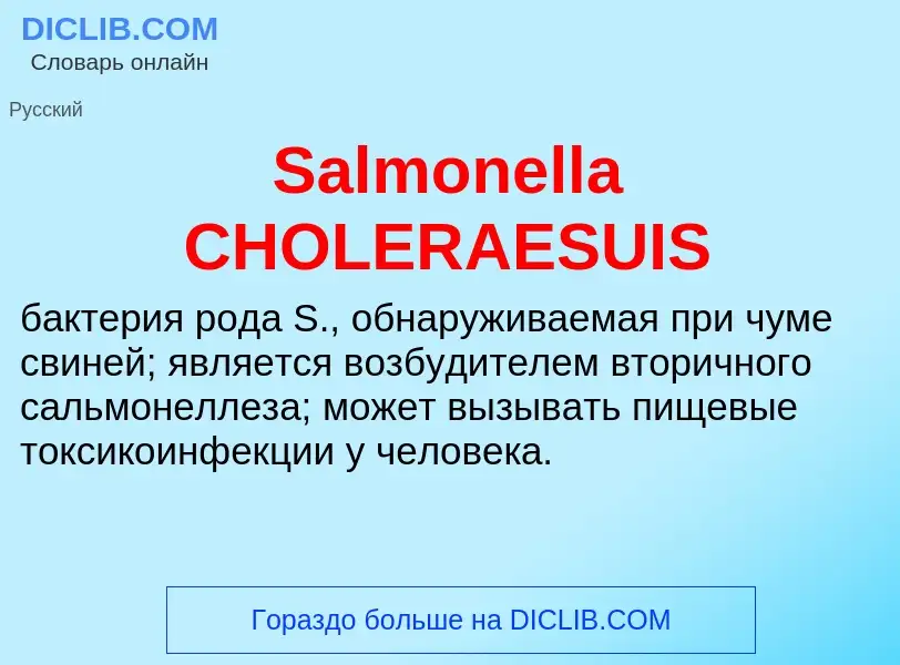 ¿Qué es Salmonella CHOLERAESUIS? - significado y definición