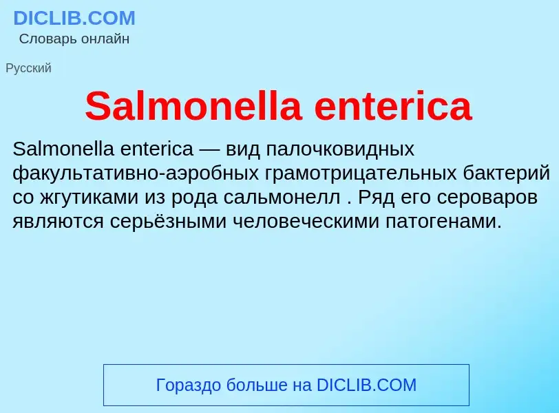 ¿Qué es Salmonella enterica? - significado y definición