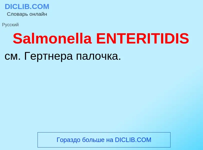 ¿Qué es Salmonella ENTERITIDIS? - significado y definición