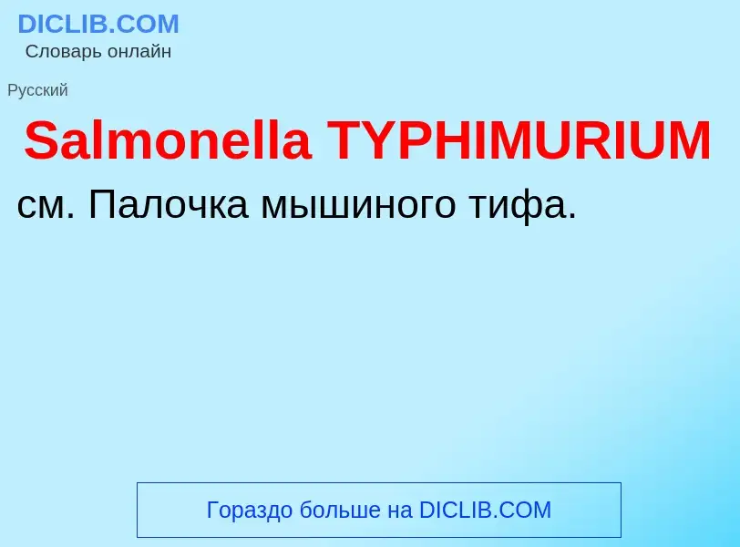 ¿Qué es Salmonella TYPHIMURIUM? - significado y definición